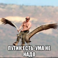  путин есть-ума не надо