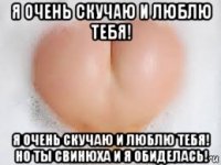 я очень скучаю и люблю тебя! я очень скучаю и люблю тебя! но ты свинюха и я обиделась!