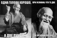 Одна голова хорошо, А две лучше... При условии, что те две Не на одних плечах...