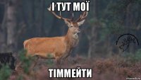 і тут мої тіммейти