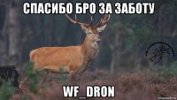 спасибо бро за заботу wf_dron