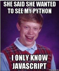 she said she wanted to see my python i only know javascript