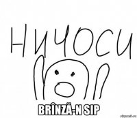  brînză-n sip