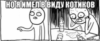 но я имел в виду котиков 