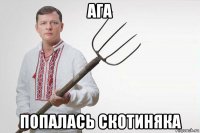ага попалась скотиняка