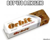 вот что я люблю 