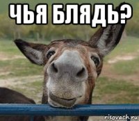 чья блядь? 