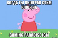 когда ты выиграл стим ключ на gaming paradise igm