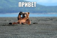 привет