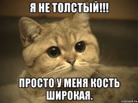 я не толстый!!! просто у меня кость широкая.