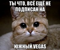 ты что, всё ещё не подписан на южный vegas