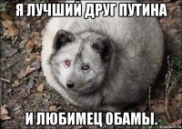 я лучший друг путина и любимец обамы.