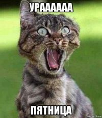 ураааааа пятница