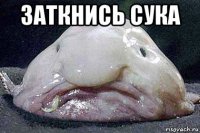 заткнись сука 