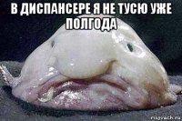 в диспансере я не тусю уже полгода 