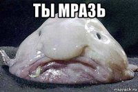 ты мразь 