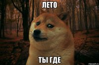 лето ты где