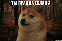 ты правда еблан ? 