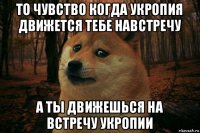 то чувство когда укропия движется тебе навстречу а ты движешься на встречу укропии