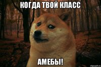 когда твой класс амебы!