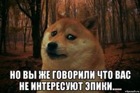  но вы же говорили что вас не интересуют эпики.....