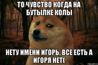 то чувство когда на бутылке колы нету имени игорь, все есть а игоря нет(