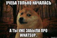 учеба только началась а ты уже забыла про whatsup..