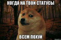 когда на твои статусы всем похуй