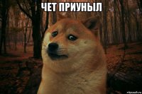 чет приуныл 