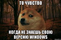 то чувство когда не знаешь свою версию windows