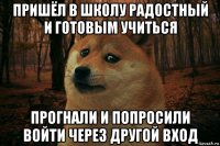 пришёл в школу радостный и готовым учиться прогнали и попросили войти через другой вход