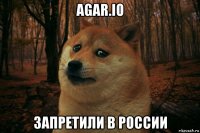 agar.io запретили в россии