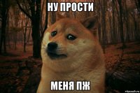 ну прости меня пж