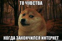 то чувства когда закончился интернет