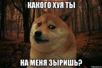 какого хуя ты на меня зыришь?