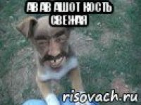ав ав ашот кость свежая 