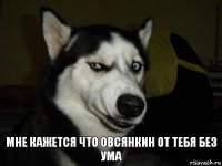 Мне кажется что Овсянкин от тебя без ума