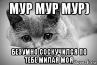 мур мур мур) безумно соскучился по тебе милая моя