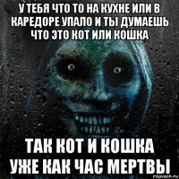 у тебя что то на кухне или в каредоре упало и ты думаешь что это кот или кошка так кот и кошка уже как час мертвы