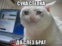 сука,степка до слез брат