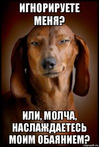 игнорируете меня? или, молча, наслаждаетесь моим обаянием?