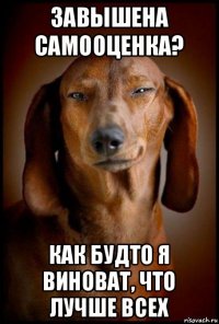 завышена самооценка? как будто я виноват, что лучше всех