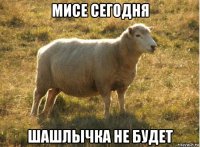 мисе сегодня шашлычка не будет