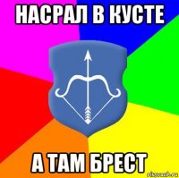 насрал в кусте а там брест
