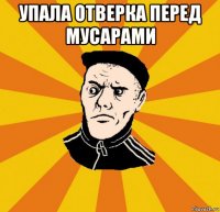 упала отверка перед мусарами 