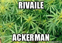 rivaile ackerman