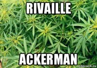 rivaille ackerman