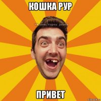 кошка рур привет