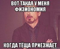 вот такая у меня физиономия когда тёща приезжает