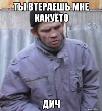 ты втераешь мне какуёто дич